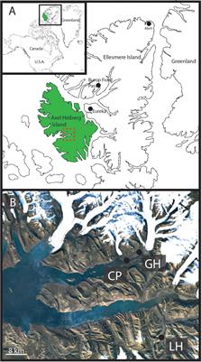 Biological Characterization of Microenvironments in a Hypersaline Cold Spring Mars Analog